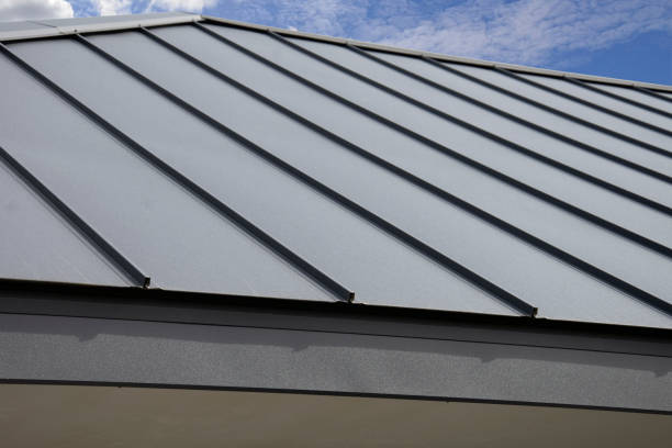 Emergency Roof Repair in Garden City, ID